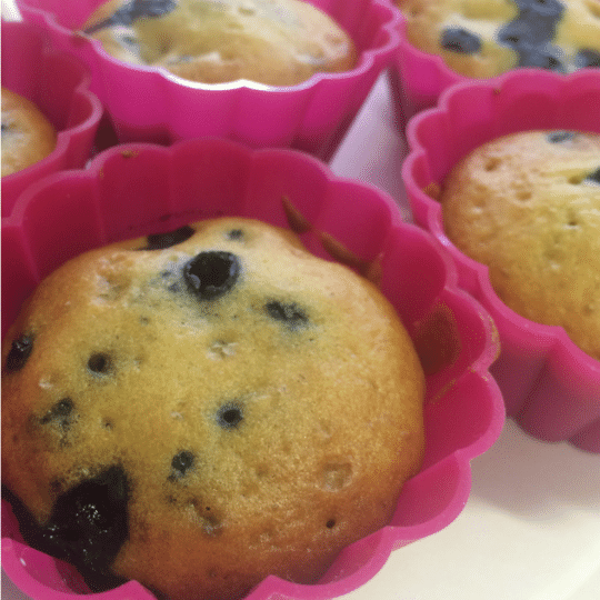 Blueberry Muffins.img