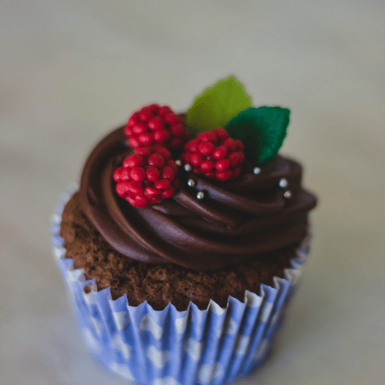Chocolate Raspberry Cupcake.img